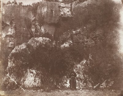 Garden of Selvia, Syrakusa, Sicilien, 1846. av George Wilson Bridges
