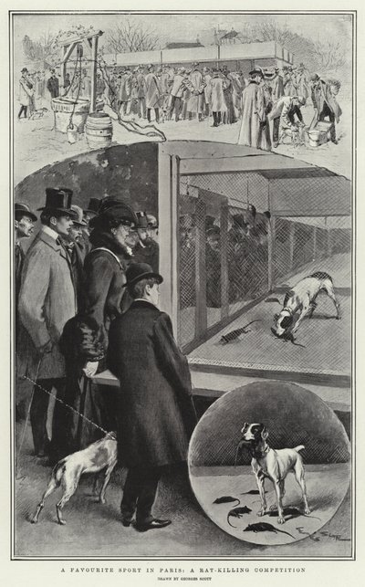 En favoritsport i Paris, en tävling i råttdödning av Georges Bertin Scott