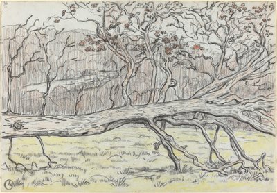 Fällt träd, Normandie av Georges Lacombe