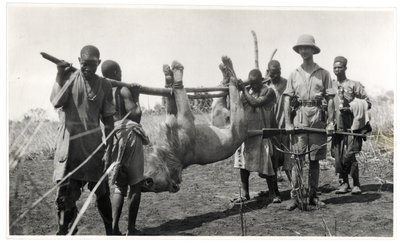 Lejon vid Bahr el Ghazal, Am Dafok, 1925 (silvertryck av gelatin) av Georges Marie Haardt