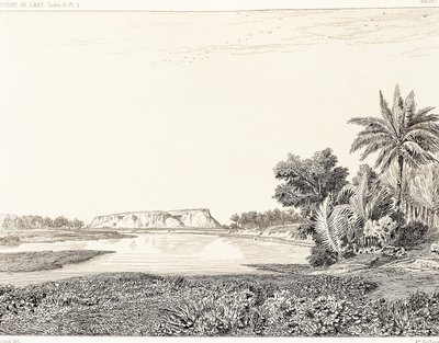 Irak, vy över Babylon, teckning av F, Thomas från gravyr av Georges Perrot (1832-1914) och Charles Chipiez (1835-1901), Histoire de l