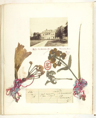 Ofrälse av Georgina Cowper