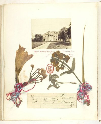 Utan titel [vy över Broadlands med torkade blommor], 1868. av Georgina Cowper