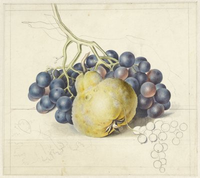 Stilleben med druvor och ett päron av Georgius Jacobus Johannes van Os