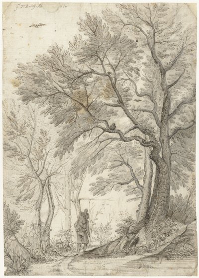 Forest of the Villa Madama utanför Rom av Gerard ter Borch