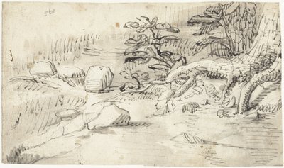 Studie av rötterna på ett träd nära en bäck av Gerard ter Borch (I)