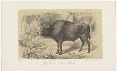 europeisk bison The European Bison (titel på objekt) av Gerardus Johannes Bos