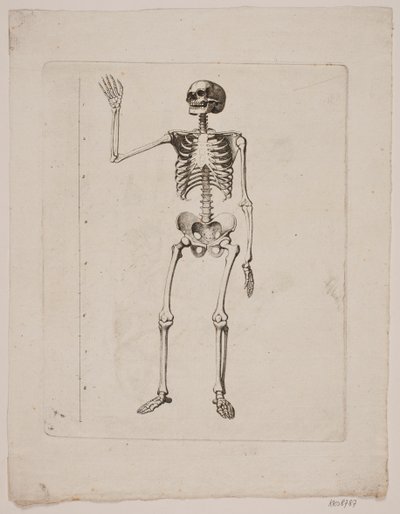 Skelett av Gerhard Ludvig Lahde
