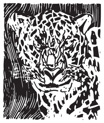 Leopard av Gerhardt Isringhaus