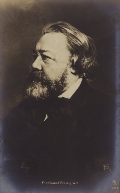 Ferdinand Freiligrath (1810-1876), tysk poet (svartvitt foto) av German Photographer