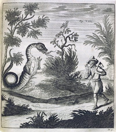 En rädd drake, ca 1660 av German School