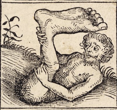 En sciopod, Man with a Swollen Foot, från ``Registrum Hujus Operis Libri Cronicarum cum Figuri et Imagibus ab Inicio Mundi