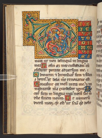 Lägg till. 60629, f.43v Stora inramade initialer i guld och färger med blad och ibland zoomorfisk och antropomorfisk ornament (vellum) av German School