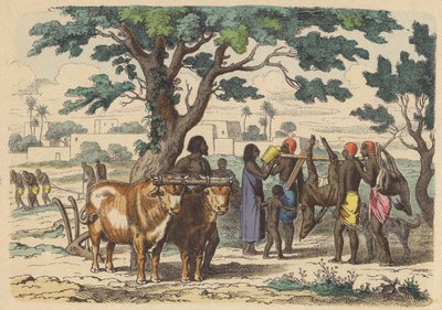Forntida egyptisk bonde och jägare (färgad gravyr) av German School