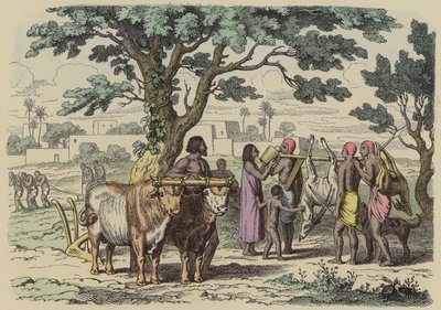 Forntida egyptisk bonde och jägare (färgad gravyr) av German School