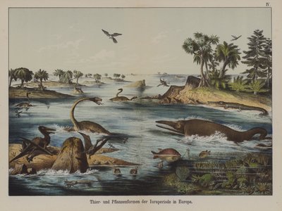 Djur och växter från juraperioden i Europa (färg litho) av German School