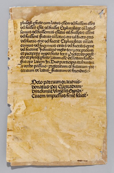 Ars Minor av Aelius Donatus, tryckt av Konrad Dinckmut, Ulm, c.1476-80 (blockbok) av German School