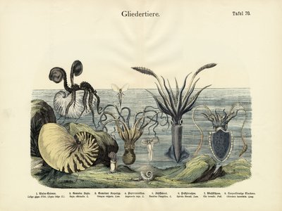 Leddjur, ca 1860 av German School