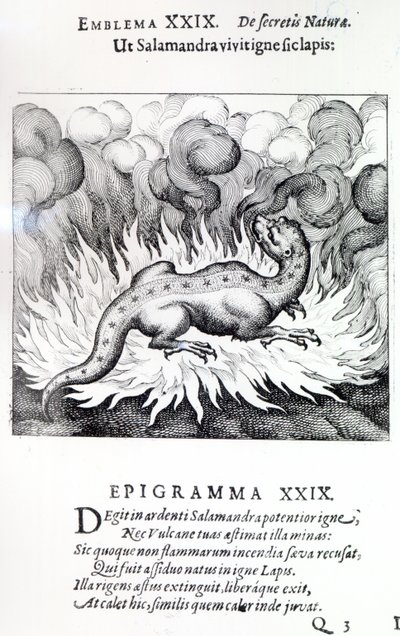 Såsom salamandern lever i eld, så även stenen, emblem XXIX från Atalanta fugiens av Michael Maier, 1617 av German School