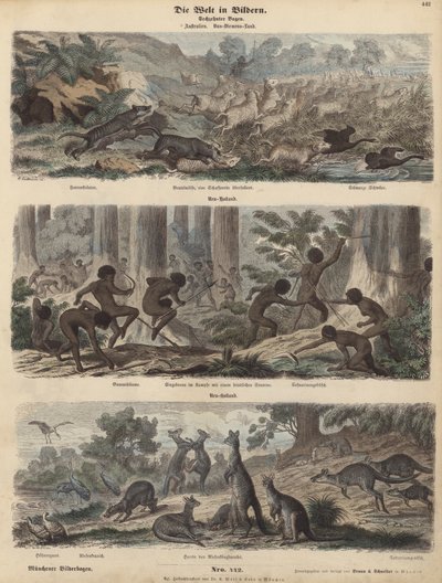 Australien (färgad gravyr) av German School
