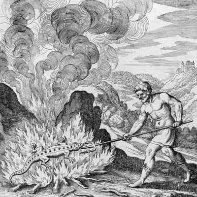 Bränna en salamander från Musaeum Hermeticum av German School