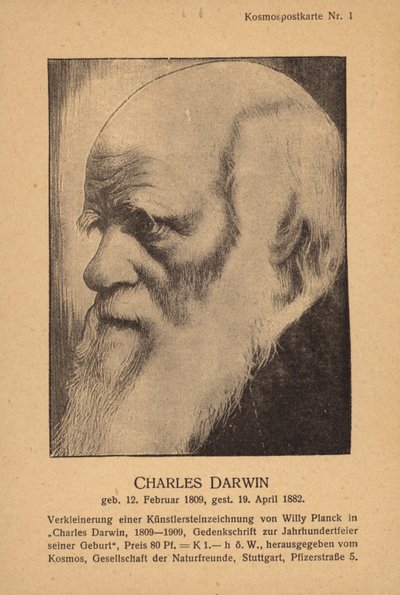 Charles Darwin (1809-1882), engelsk naturforskare (litografi) av German School