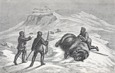Myskoxens död, pub. London 1874 av German School