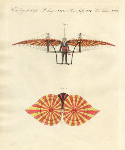 Degens flygmaskin (färgad gravyr) av German School