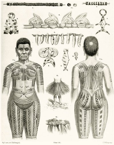 Diagram som visar polynesiska smycken, ornament och tatueringar, 1888 av German School