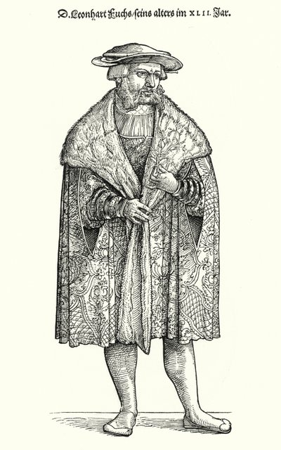 Dr Leonhart Fuchs, tysk läkare, botaniker och professor vid universitetet i Tübingen (gravyr) av German School
