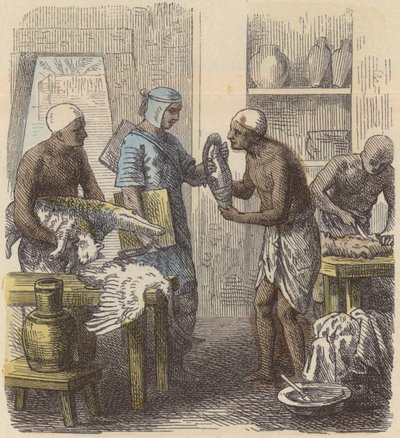 Balsamering av djur i det antika Egypten (färgad gravyr) av German School
