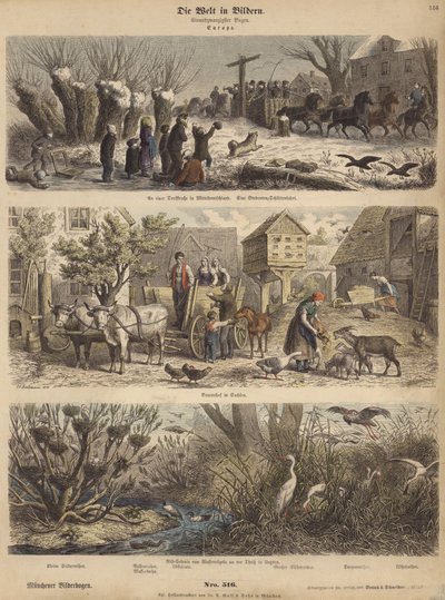 Europa (färgad gravyr) av German School