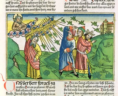 2 Mosebok 10:1-20 Egyptens sju plågor: gräshoppornas plåga, från Nürnbergbibeln (Biblia Sacra Germanaica) (färgat träsnitt) av German School