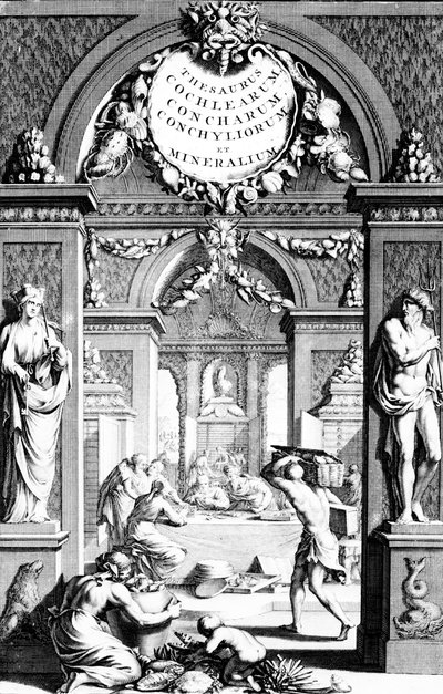 Frontispice till synonymordbokbilder av testaceous fisk av Georg Eberhard Rumphius, upplaga publicerad 1739 av German School
