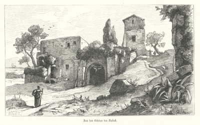 Gardens of Sallust, Rom (gravyr) av German School