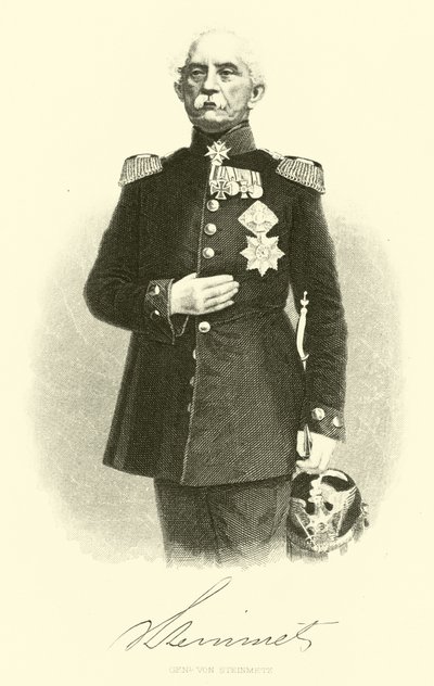 General von Steinmetz av German School