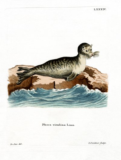 Knubbssigill (färgad gravyr) av German School