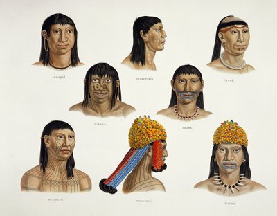 Heads of South American Indians, från Travels in Brazil (för detaljer se 92095) av German School