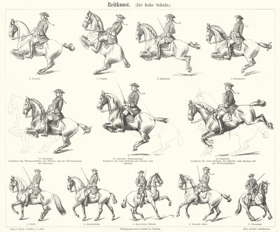 Horsemanship (gravyr) av German School
