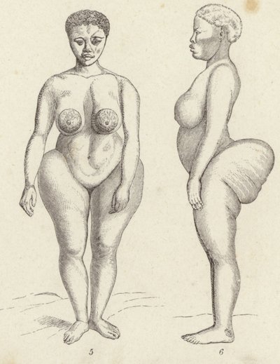 Hottentot Venus (gravyr) av German School