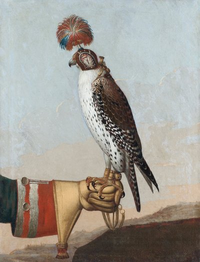 Isländsk gerfalk, 1759 av German School