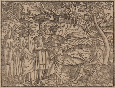 Job täckt med bölder c.1525 (träsnitt) av German School