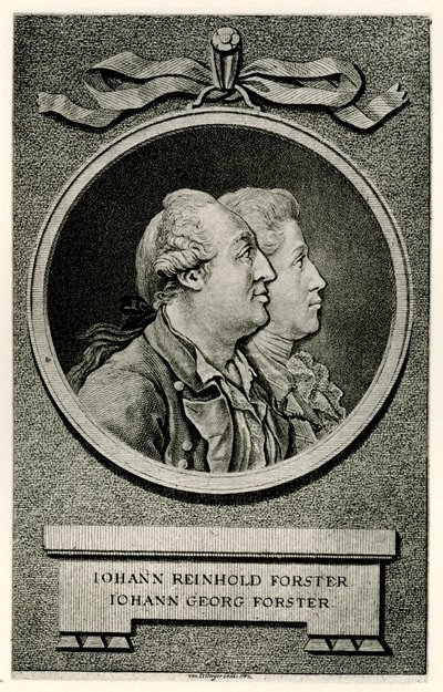 Johann Georg Forster av German School