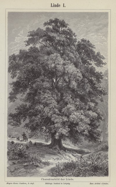 Linden (gravyr) av German School
