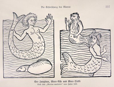 Mermaid and Merman från Jacob Meydenbachs "Hortus Sanitatis" av German School