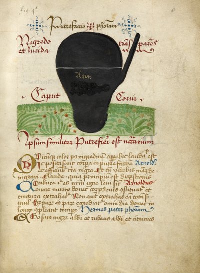 Ms Sloane 2560, f.8 från Alchemical Treatises, sent 1400-tal (vellum) av German School