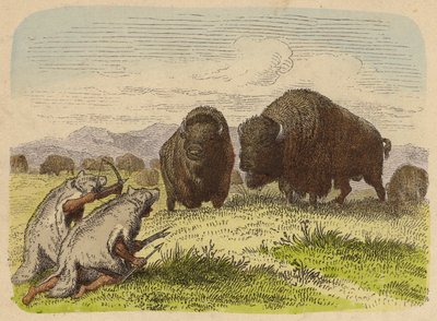 Indianer som bär vargskinn och jagar buffel (färgad gravyr) av German School