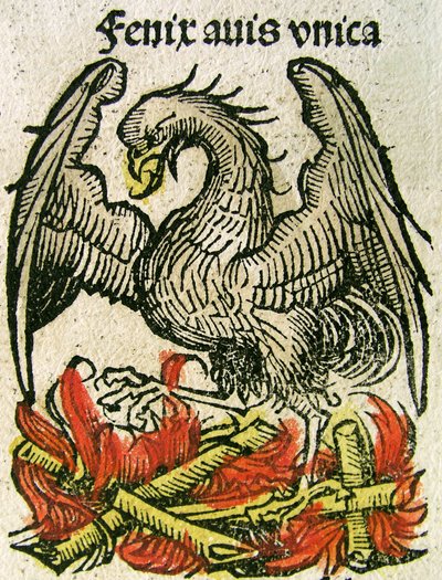 Phoenix publicerad i Nuremberg Chronicle, 1493 av German School