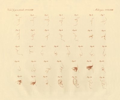 Fysiomik uttryck av sinnesorganet och de sammankopplade delarna (färgad gravyr) av German School