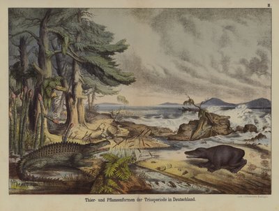 Växter och djur från triasperioden i Tyskland (färg litho) av German School